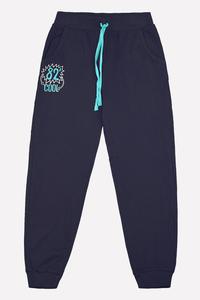 К 4500 к120 - Брюки для мальчика, Crockid